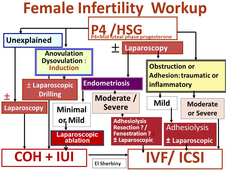 Female+Infertility+Workup dr. rimmi singla Singla Mediclinic