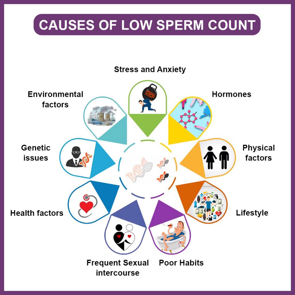 How Male Sperm Count Increase Singla Mediclinic 